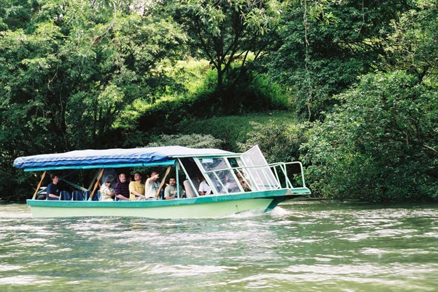 Bote en el río Sarapiquí para ver animales silvestres