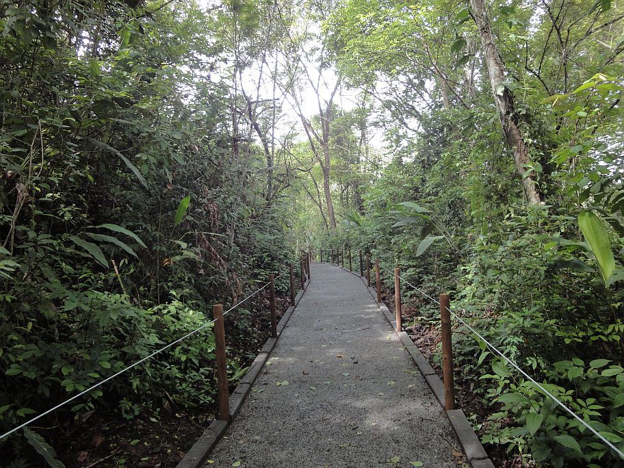 Parts of Carara National Park are handicap accessible 