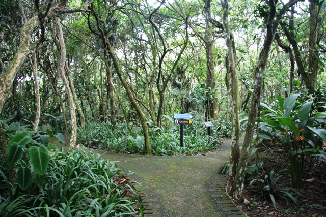 900 especies de Orquídeas y Bromelias en los Jardines de Lankester