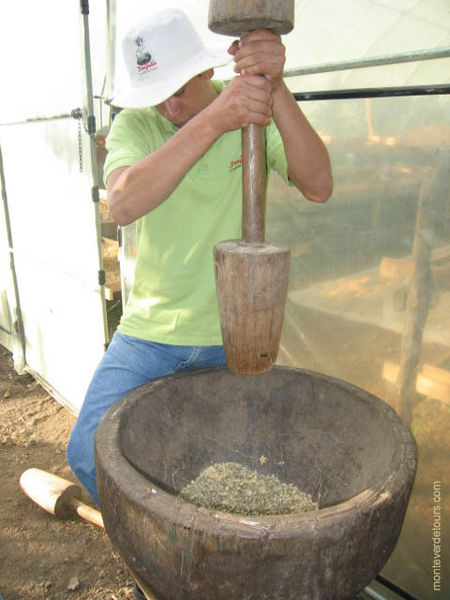 Early grinding machine for roasted coffee