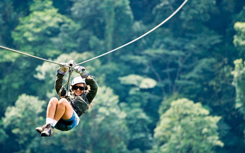 Enjoy the quiet canopy in the cloud forest