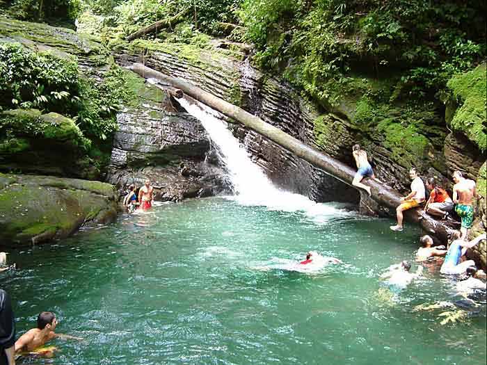 Check out the rainforest swimming hole