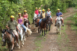 Horseback riding through the refreshing clouds forest with stunted vegetation 