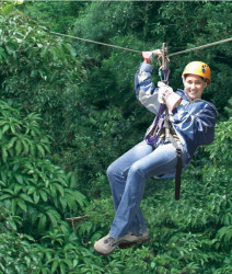  9 cables de diferentes longitudes se extienden sobre el canopy de bosque  lluvioso