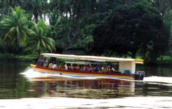 Enjoy a canal boat ride looking for and hearing monkeys, crocodiles, and colorful birds