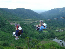 Dual canopy zip-lining high above the cloud forest