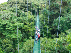 Uno de los famosos puentes colgantes en Monteverde