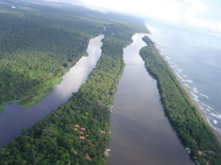 Parte de los calmados, naturalmente formados canales de Tortuguero