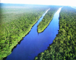 Los encantadores y pacíficos canales de Tortuguero