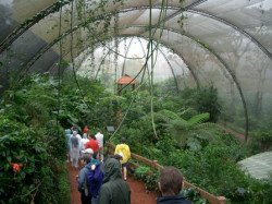 Eche un vistazo a la granja de mariposas