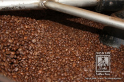 Roasted coffee beans