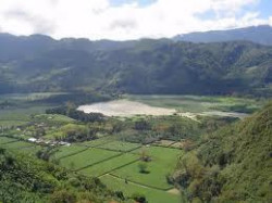 Historic Orosi Valley showing coffe plantations on the sides and ornamental flowers and heart of palm plantations on the valley floor