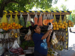 Happy fruit-stand vendor