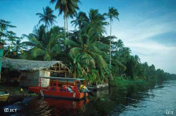  Varias casas y hoteles están ubicados sobre los canales cerca del Pueblo de  Tortuguero