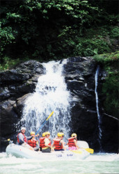 Afternoon whitewater rafting on the warm class II and III Sarapiqui River