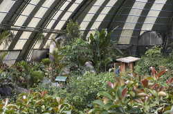 The Monteverde Butterfly Garden