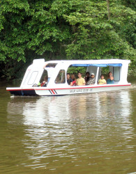 Boating the canals of Tortuguero spotting and listening for various wildlife