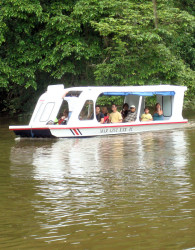  Paseando en bote por los canales de Tortuguero, viendo y escuchando la  variada vida silvestre