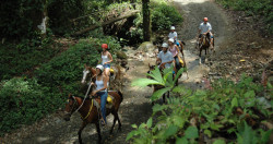 Great trails through the jungle, plus open views along the canyon