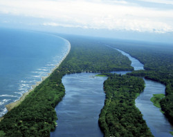 Areial view of part of Tortuguero