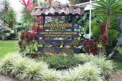 Welcome to Lankester Gardens, home of 900 special of orchids and bromelias
